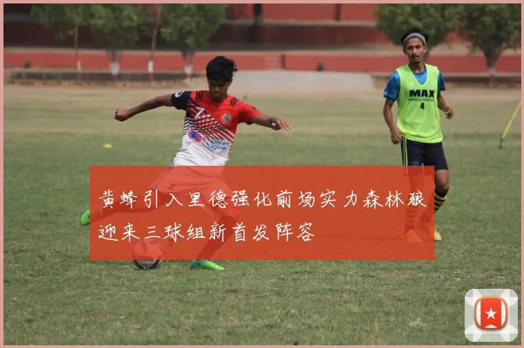 黄蜂引入里德强化前场实力森林狼迎来三球组新首发阵容