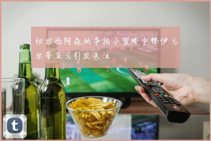切尔西阿森纳争抢小蜜蜂中锋伊戈尔蒂亚戈引发关注